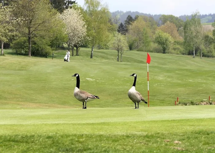 Vakantiewoning Paula Sauerland Daire