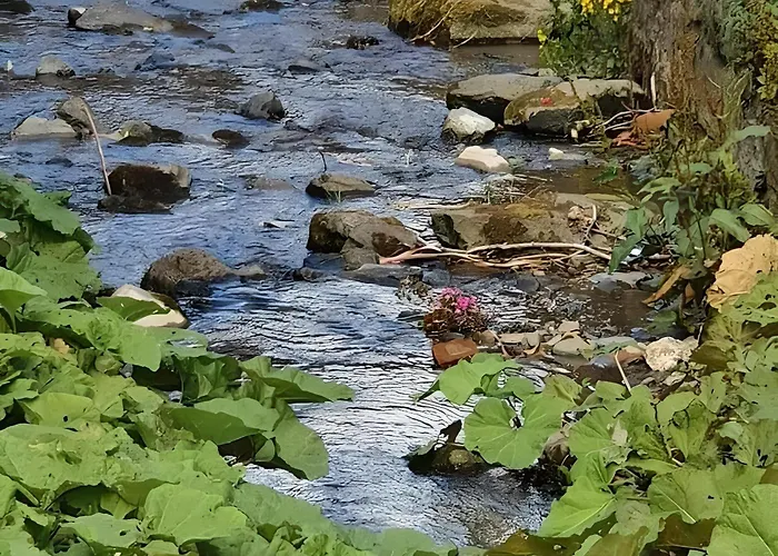 Vakantiewoning Paula Sauerland 施马伦贝格